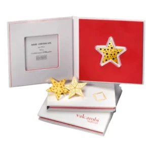 Valcambi CombiBar® 閃耀星星金條(5 × 1公克)組